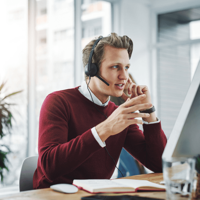 Virtual Assistant